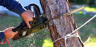 Best Aeration Services  in Arvin, CA